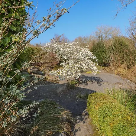 Bluebell House And Gardens * Rossbrin